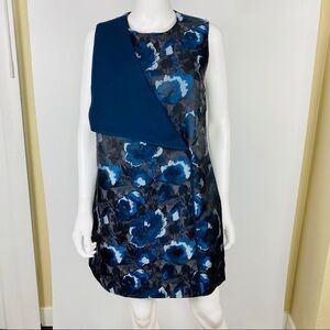 Asos Dress Sz 8